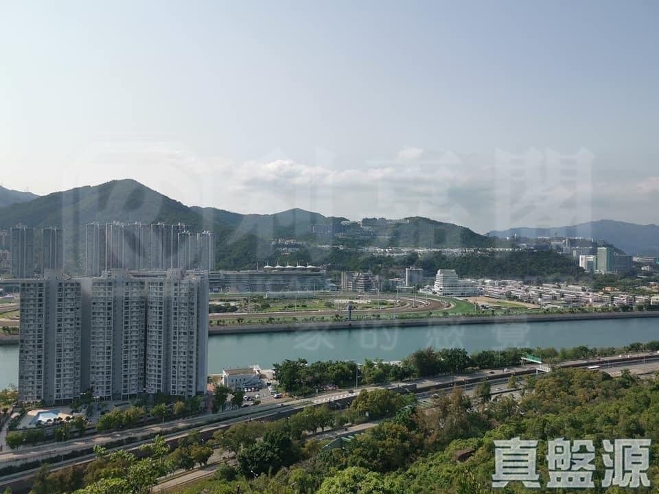 碧濤花園 2期 富臨閣 (B座) - 28NTS – 香港北部都會區