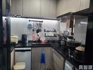 榮福中心 5座 - 28NTS – 香港北部都會區
