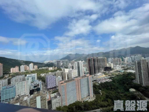 碧霞花園 東方閣 (1座) - 28NTS – 香港北部都會區