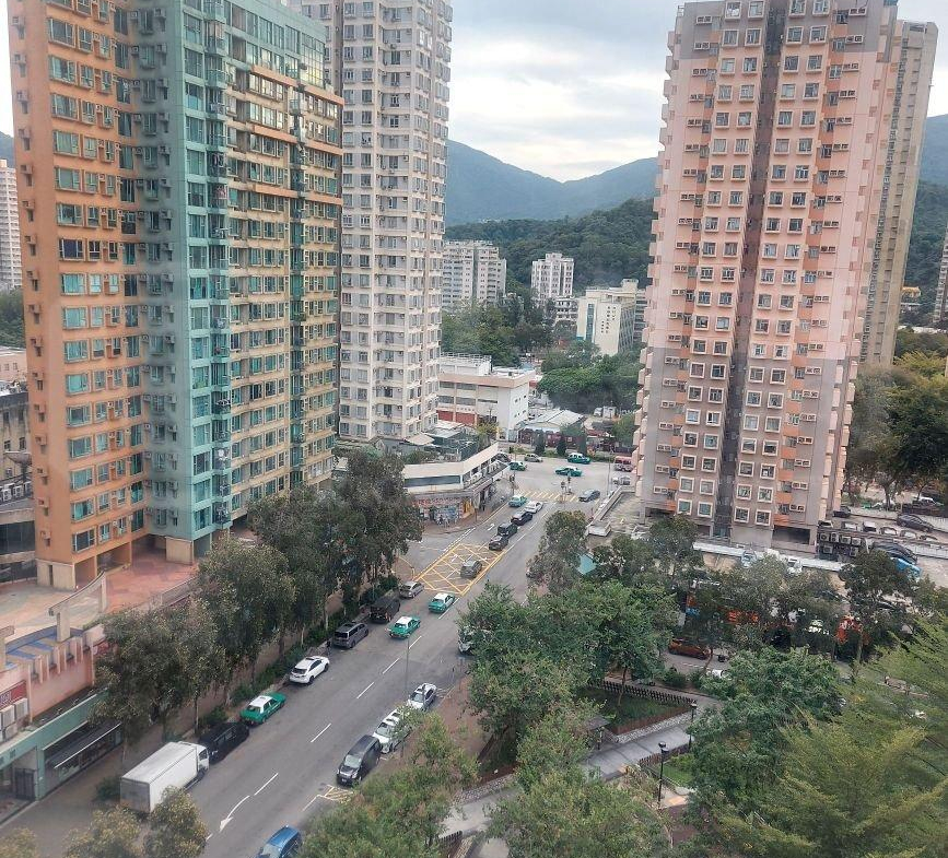翠林閣 1座 - 28NTS – 香港北部都會區