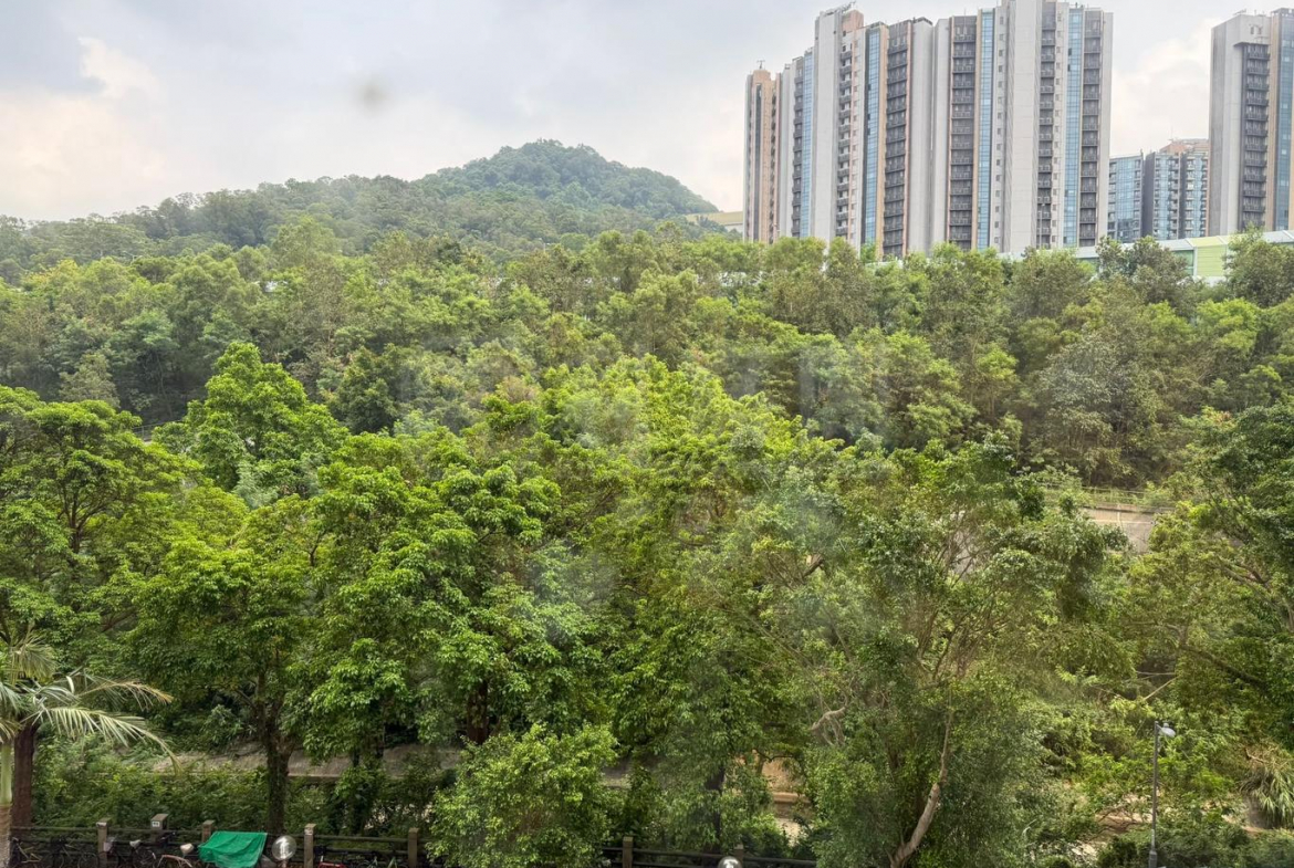 景雅苑 景悅閣 (B座) - 28NTS – 香港北部都會區