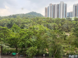 景雅苑 景悅閣 (B座) - 28NTS – 香港北部都會區