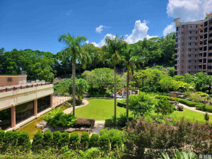 大埔寶馬山 5座 - 28NTS – 香港北部都會區