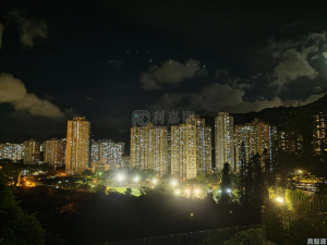 陳園 - 28NTS – 香港北部都會區
