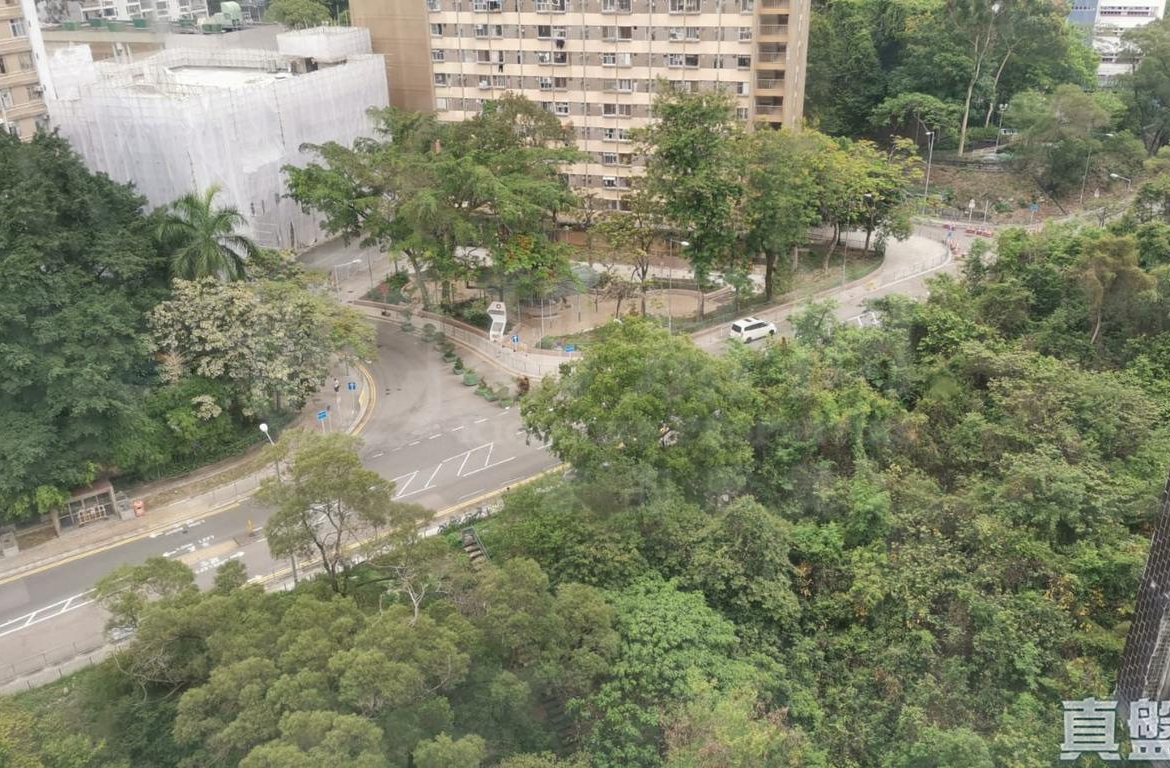金獅花園 1期 金豐閣 (F座) - 28NTS – 香港北部都會區