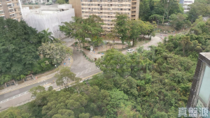 金獅花園 1期 金豐閣 (F座) - 28NTS – 香港北部都會區