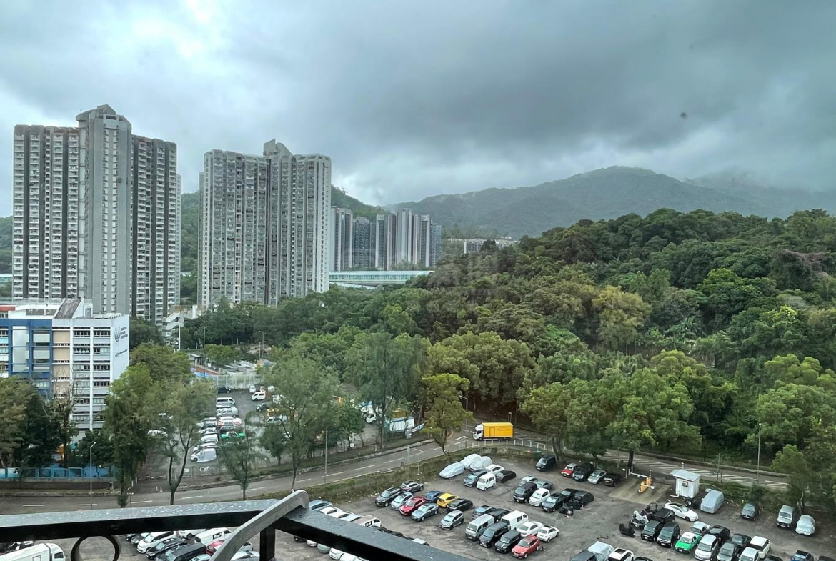 新峰花園 2期 2座 - 28NTS – 香港北部都會區