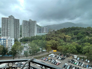新峰花園 2期 2座 - 28NTS – 香港北部都會區