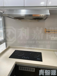 好運中心 椰林閣 (B2座) - 28NTS – 香港北部都會區