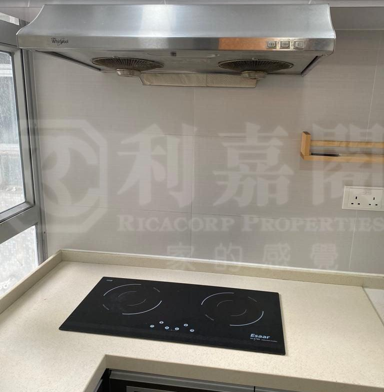 好運中心 椰林閣 (B2座) - 28NTS – 香港北部都會區