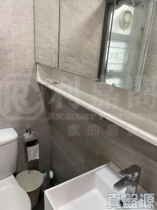好運中心 椰林閣 (B2座) - 28NTS – 香港北部都會區