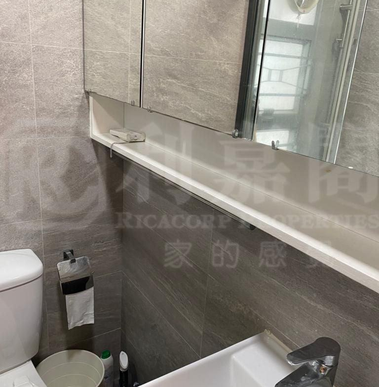好運中心 椰林閣 (B2座) - 28NTS – 香港北部都會區