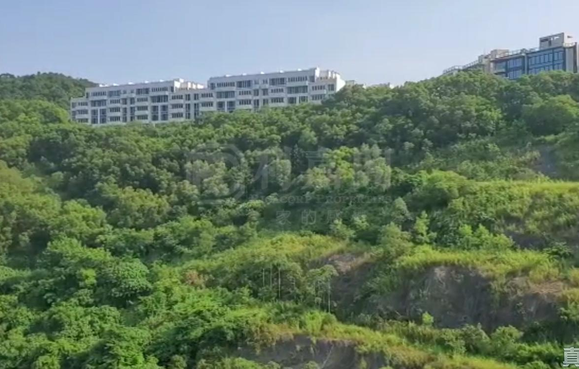 玖瓏山 日瓏閣 第2座 - 28NTS – 香港北部都會區