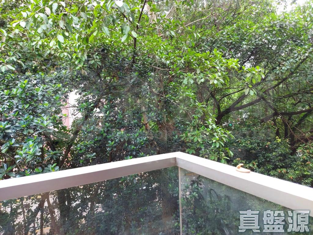 壹號雲頂 2期 雲頂峰 雲頂峰 - 28NTS – 香港北部都會區