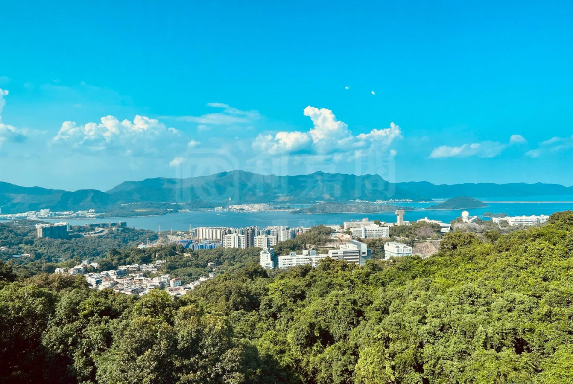 澐灃 2座 - 28NTS – 香港北部都會區