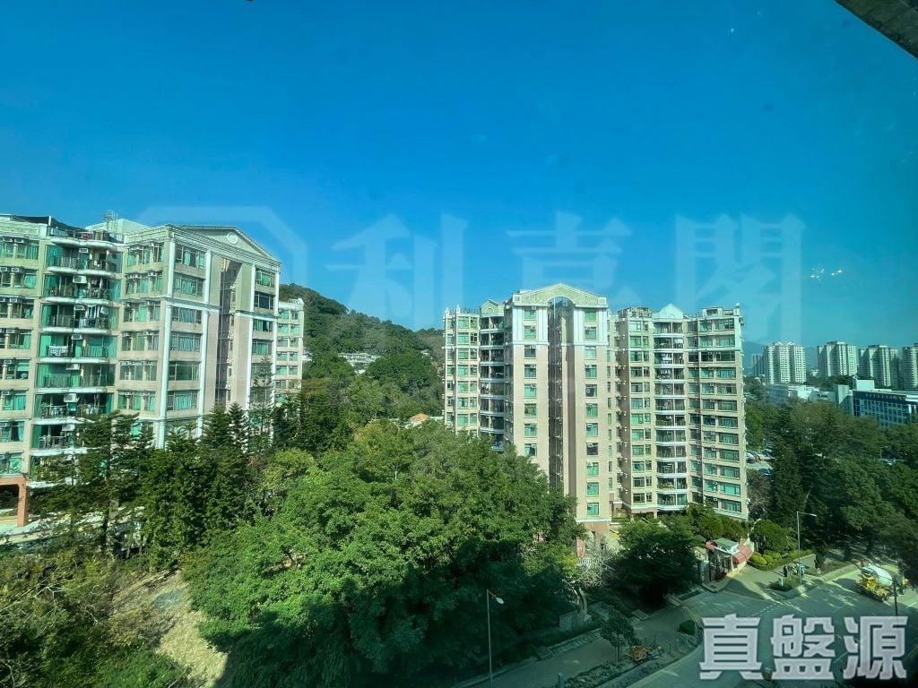 新峰花園 4期 御峰豪園 30座 - 28NTS – 香港北部都會區