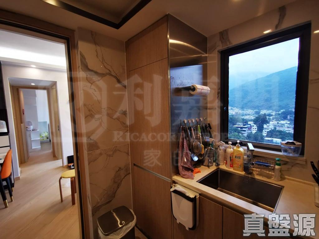 天鑽 1座 - 28NTS – 香港北部都會區