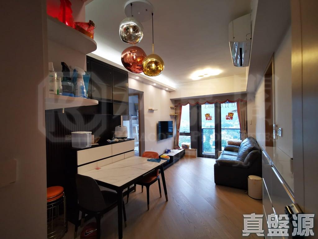 天鑽 1座 - 28NTS – 香港北部都會區