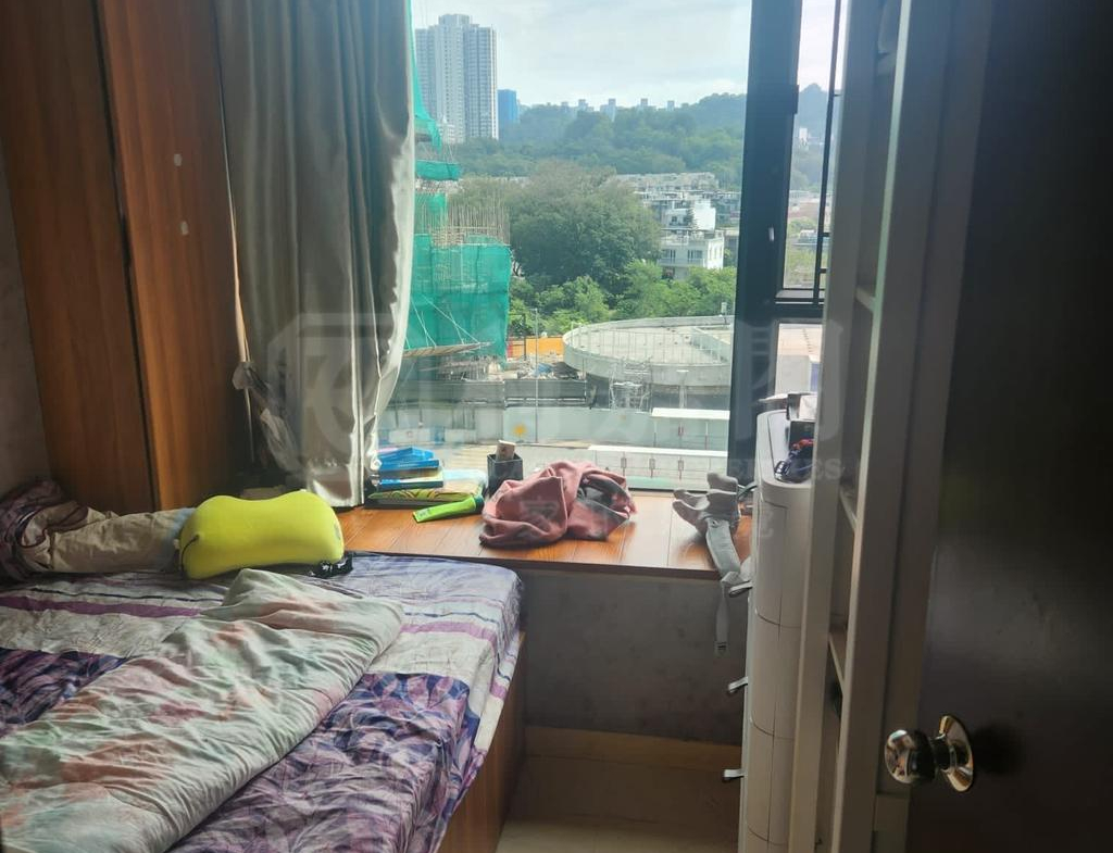 顯峯 - 28NTS – 香港北部都會區