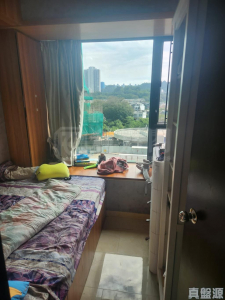 顯峯 - 28NTS – 香港北部都會區
