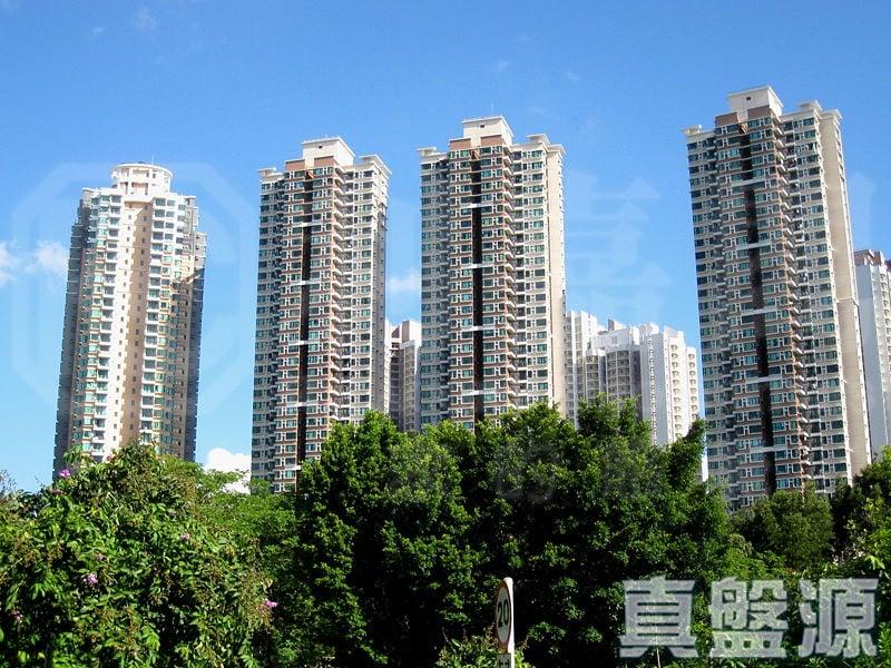御皇庭 3座 - 28NTS – 香港北部都會區