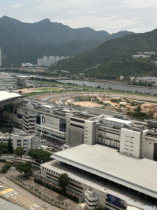 駿景園 2期 8座 - 28NTS – 香港北部都會區