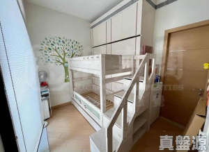 天巒 - 28NTS – 香港北部都會區