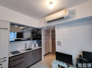 雲滙 1期 6座 - 28NTS – 香港北部都會區