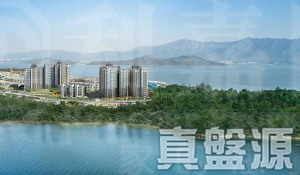泓碧 1座 - 28NTS – 香港北部都會區