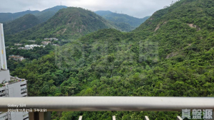 晉名峰 D座 - 28NTS – 香港北部都會區