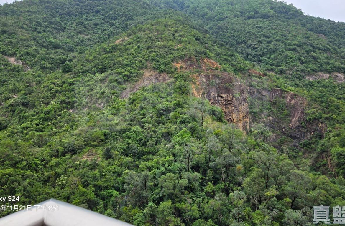晉名峰 D座 - 28NTS – 香港北部都會區