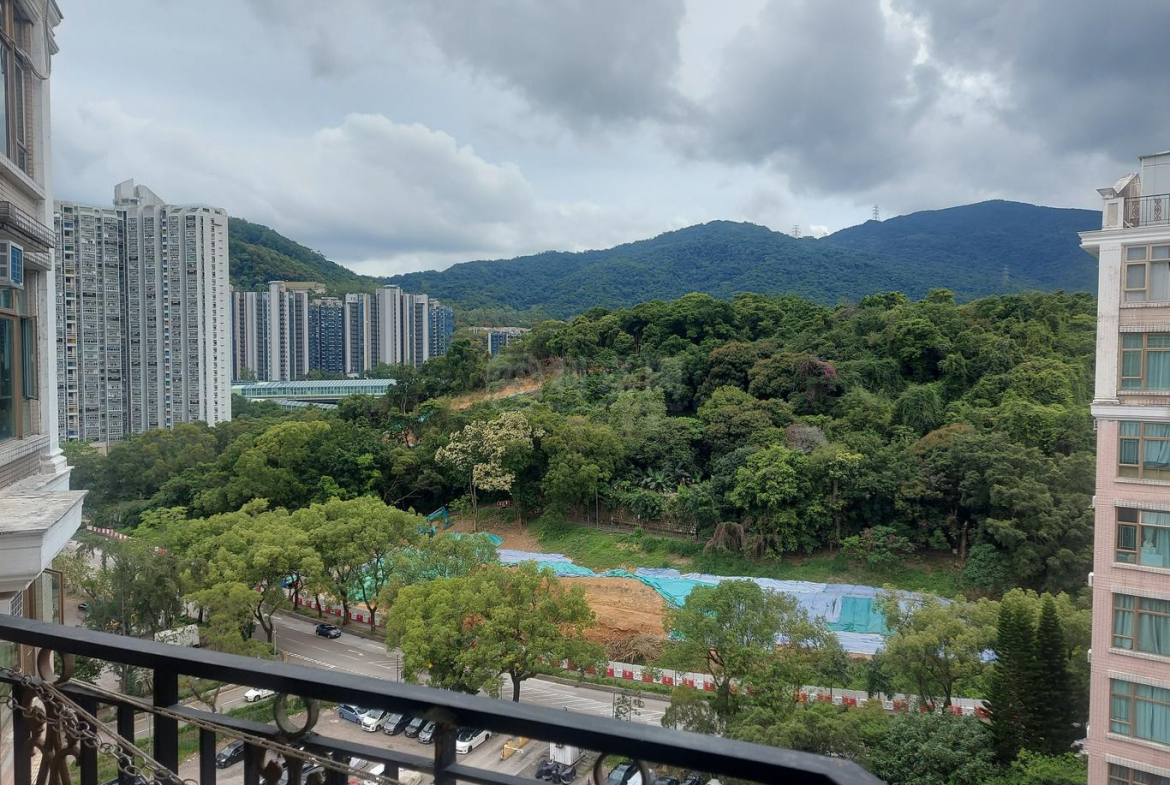 新峰花園 2期 3座 - 28NTS – 香港北部都會區