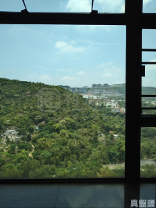 駿景園 1期 2座 - 28NTS – 香港北部都會區