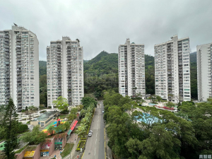 聚龍居 11座 - 28NTS – 香港北部都會區
