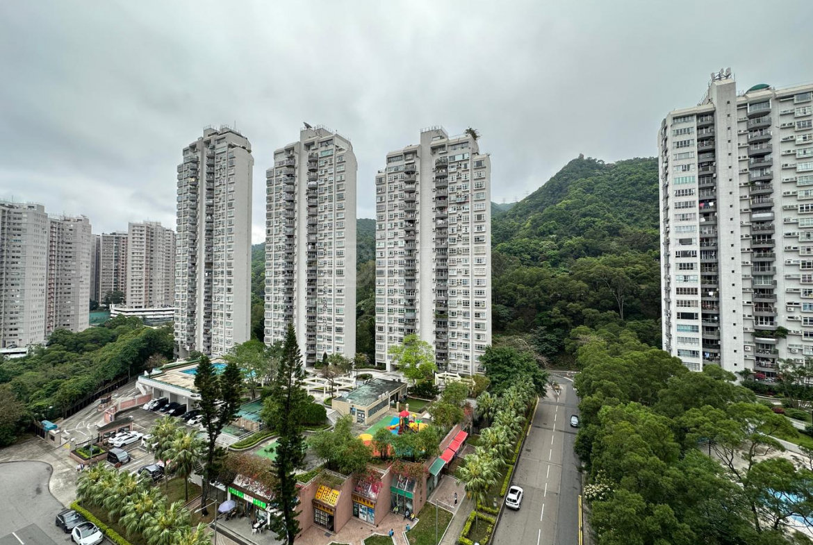 聚龍居 11座 - 28NTS – 香港北部都會區