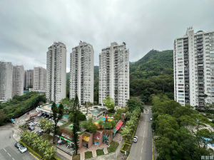 聚龍居 11座 - 28NTS – 香港北部都會區