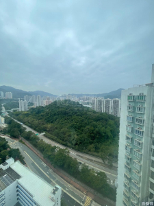 沙田第一城 5期 50座 - 28NTS – 香港北部都會區