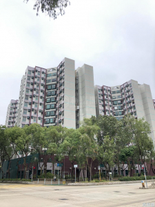 蔚翠花園 6座 - 28NTS – 香港北部都會區