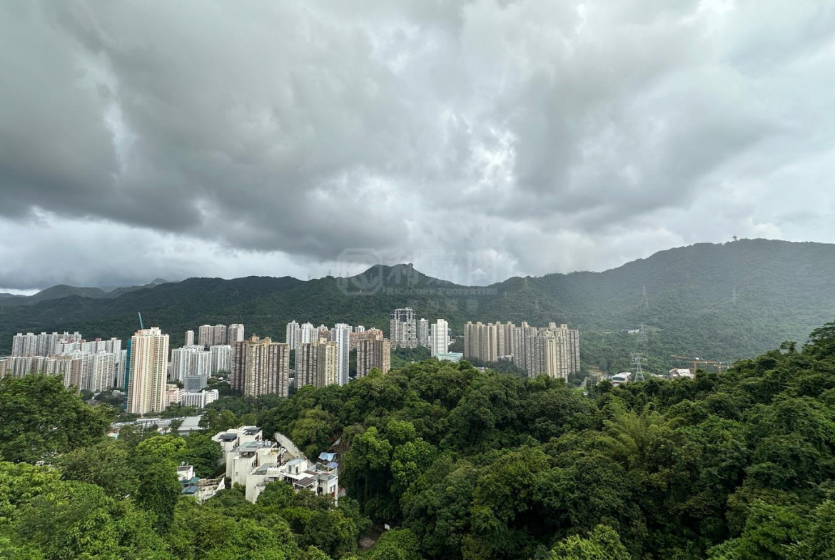 金泰別墅 - 28NTS – 香港北部都會區
