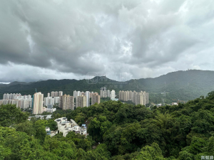 金泰別墅 - 28NTS – 香港北部都會區