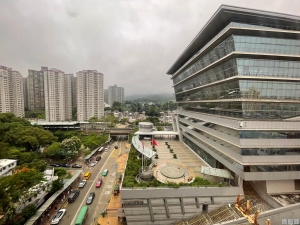 福安樓 1座 (A座) - 28NTS – 香港北部都會區