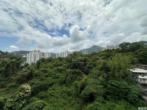 嘉御山 1座 - 28NTS – 香港北部都會區