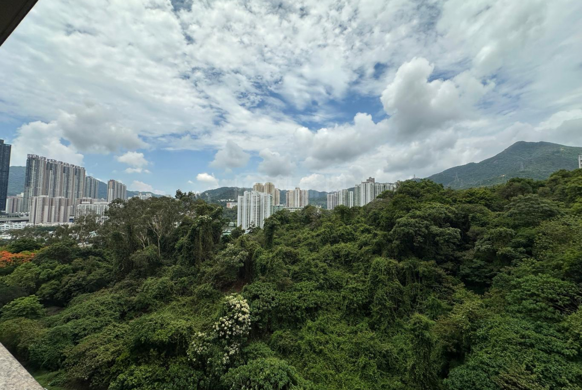 嘉御山 1座 - 28NTS – 香港北部都會區