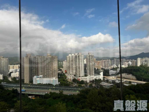 大埔寶馬山 6座 - 28NTS – 香港北部都會區