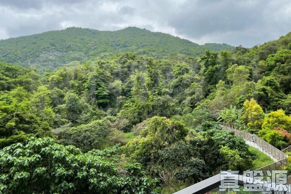 玖瓏山 天瓏閣 第1座 - 28NTS – 香港北部都會區