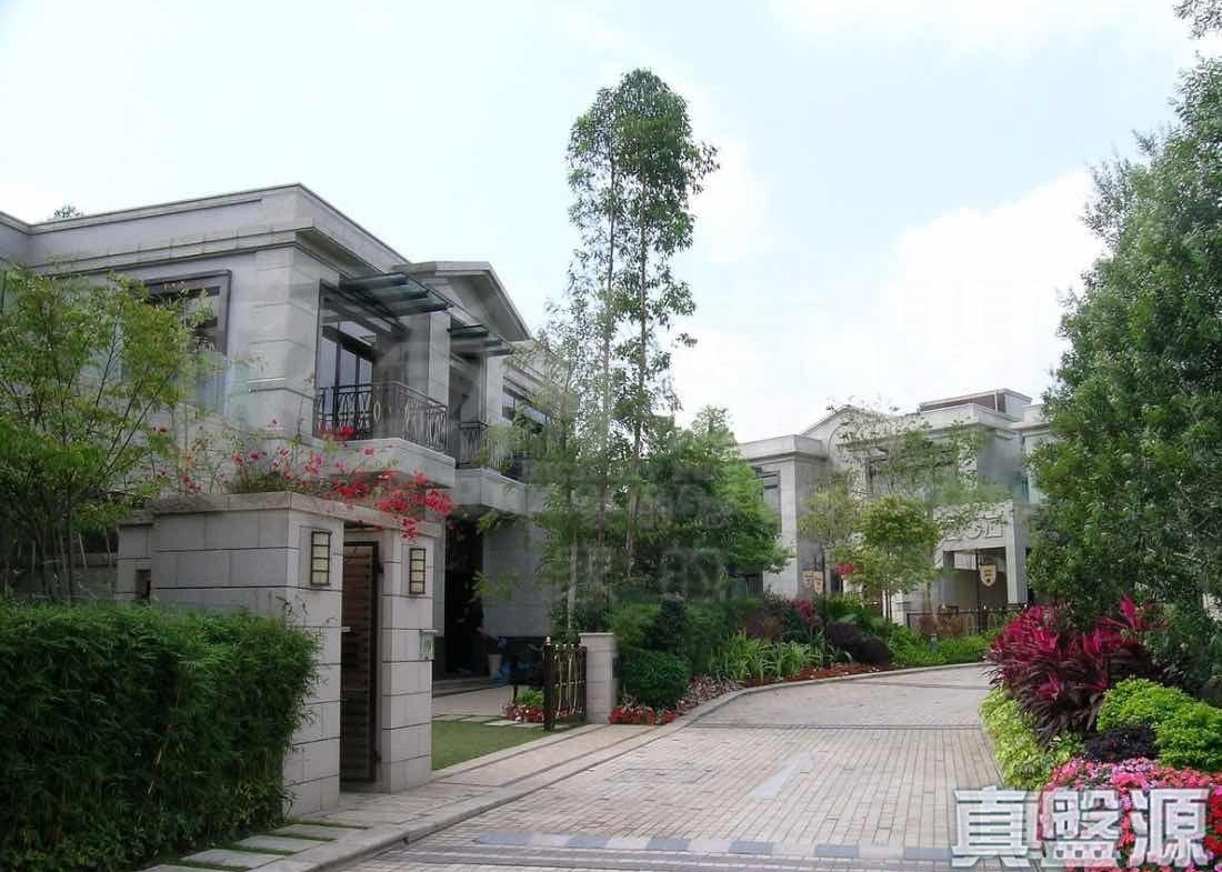 歌賦嶺 - 28NTS – 香港北部都會區