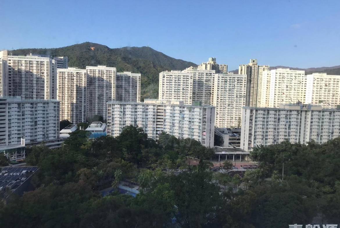 大埔中心 1期 1座 - 28NTS – 香港北部都會區