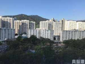 大埔中心 1期 1座 - 28NTS – 香港北部都會區