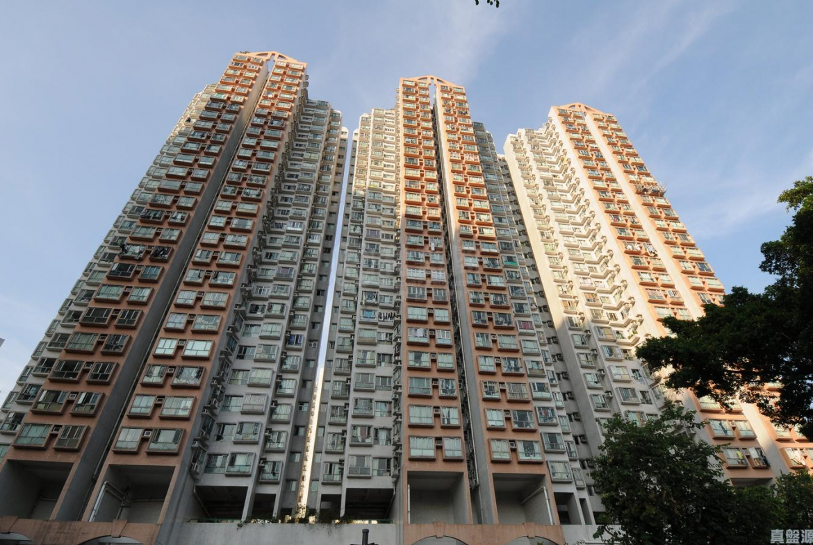 上水名都 柏林閣 (1座) - 28NTS – 香港北部都會區