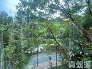 新峰花園 4期 御峰豪園 31座 - 28NTS – 香港北部都會區
